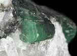 Beryl (Var: Emerald) Crystals in Biotite & Quartz - Bahia, Brazil #44123-4